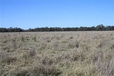 Seventh view of Homely rural property listing, Address available on request