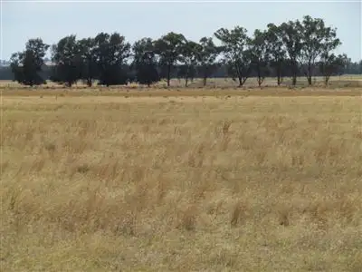 Sixth view of Homely rural property listing, Address available on request