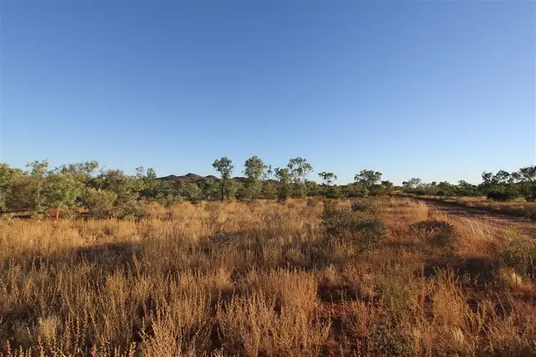 Seventh view of Homely rural property listing, " Coniston Station", Alice Springs NT 870