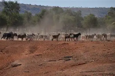 * Iona via Louth, Cobar NSW 2835