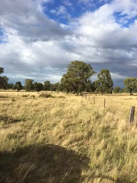Fifth view of Homely rural property listing, 56L Maiala Road Eumungerie, Dubbo NSW 2830
