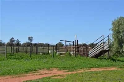 Fourth view of Homely rural property listing, * Paddington Station, Cobar NSW 2835