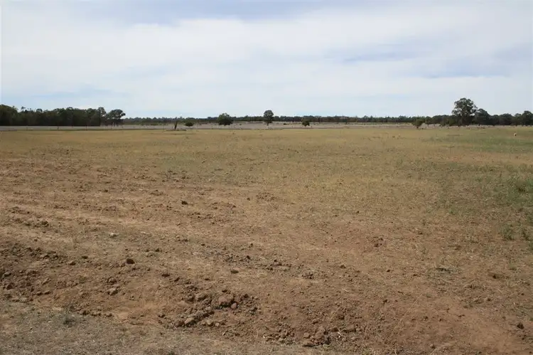 Second view of Homely rural property listing, 621 Flora Reserve road, Gilgandra NSW 2827
