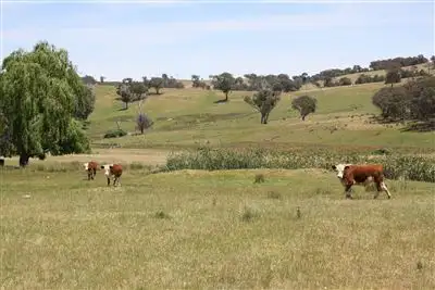 Second view of Homely rural property listing, Kelloshiel/1358 Triamble Road Hargraves, Mudgee NSW 2850