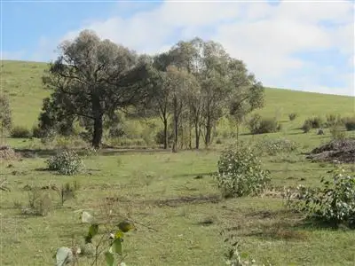 Third view of Homely rural property listing, 800 Telegraph Road, Seymour VIC 3660