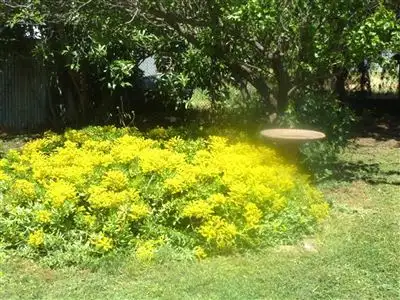 Fourth view of Homely rural property listing, Mungarra, 944 Pulletop Road, Cookardinia, Wagga Wagga NSW 2650