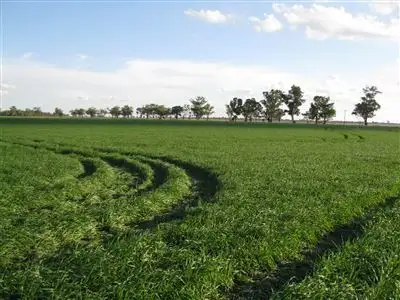 Fourth view of Homely rural property listing, "Rosewick"/622 Warren Road, Narromine NSW 2821