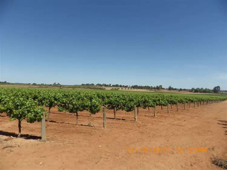 Third view of Homely rural property listing, 34 Cant Road, Barmera SA 5345