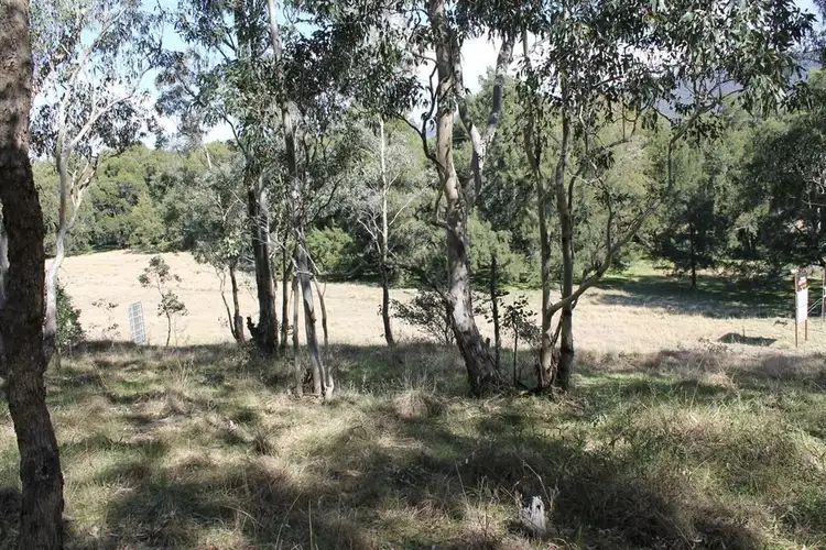 Seventh view of Homely land listing, Cnr Araluen and Majors Creek Mountain Roads, Araluen NSW 2622