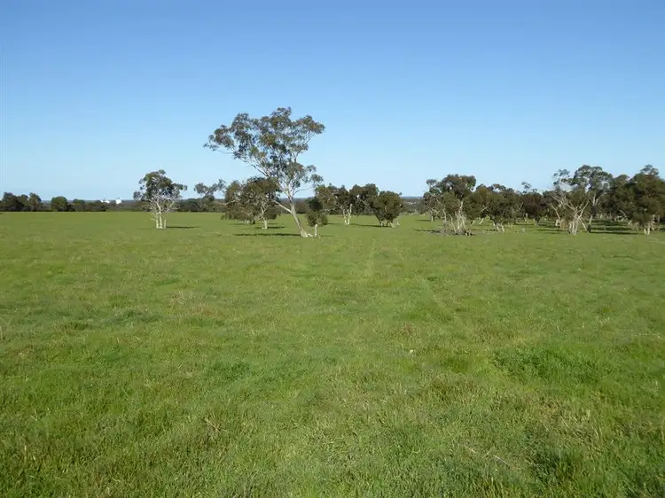 Main view of Homely rural property listing, 259 Emu Flat Road, Keith SA 5267