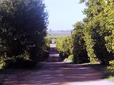 Third view of Homely rural property listing, 983 Ral Ral Avenue, Cooltong SA 5341
