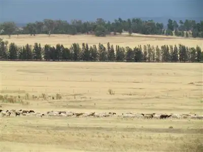 Seventh view of Homely rural property listing, Address available on request