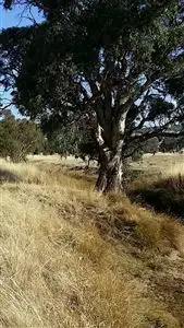 Second view of Homely land listing, Lot 3 of/Lot 124 Hawthorn Road, Jindera NSW 2642