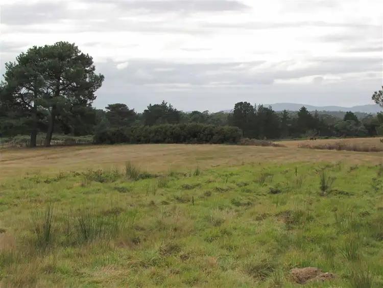 Fifth view of Homely land listing, 10 Reibey Street, Beaconsfield TAS 7270