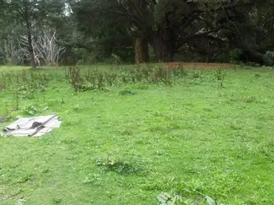 Second view of Homely rural property listing, 1300 Whitelaws Track, Tarra Valley VIC 3971