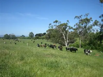 Main view of Homely rural property listing, 1713 Cairnbrook Rd, Glengarry VIC 3854
