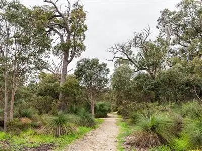Fifth view of Homely house listing, 49 Sellenger Avenue, Samson WA 6163