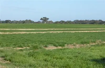 Fourth view of Homely rural property listing, 389 Nichols Road, Keith SA 5267