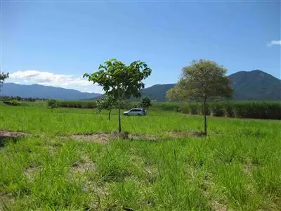 Fourth view of Homely rural property listing, Address available on request