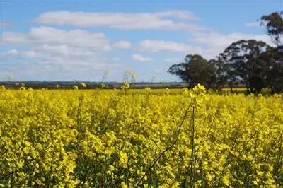 Main view of Homely rural property listing, Address available on request