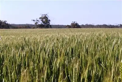 Main view of Homely rural property listing, Address available on request