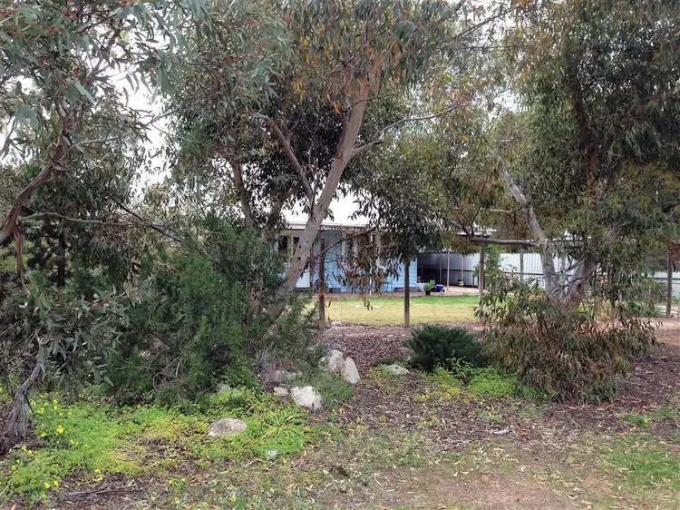 Second view of Homely house listing, 31 Adelaide Road, Pinnaroo SA 5304