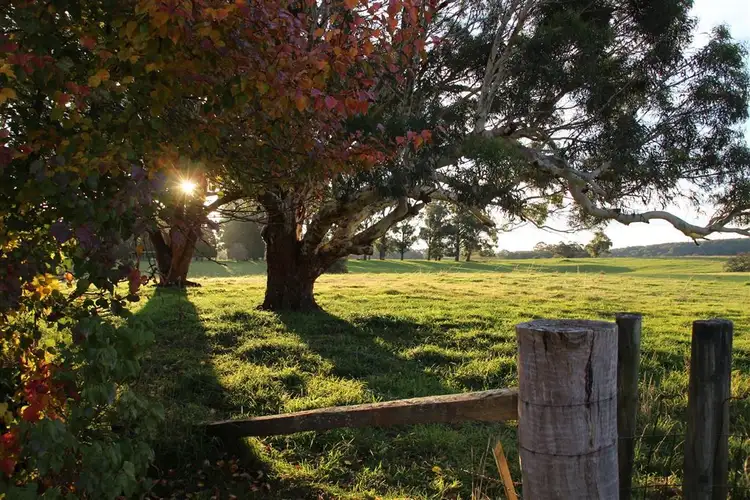 1186 Charleys Forest Road, Braidwood NSW 2622