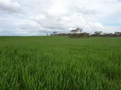 Sixth view of Homely rural property listing, Address available on request