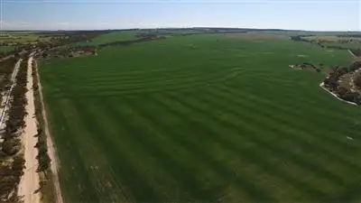 Main view of Homely rural property listing, . Greylands, Kellerberrin WA 6410