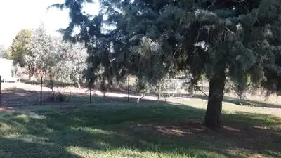 Main view of Homely land listing, 8 Watson Street, Wallendbeen NSW 2588