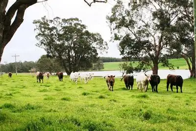 Second view of Homely rural property listing, 1275 Perup Road, Manjimup WA 6258