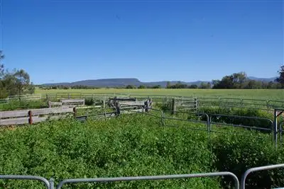 Fifth view of Homely rural property listing, 454 Black Mountain Creek Road, Narrabri NSW 2390