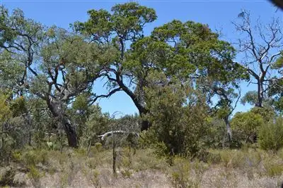 Fifth view of Homely land listing, Address available on request