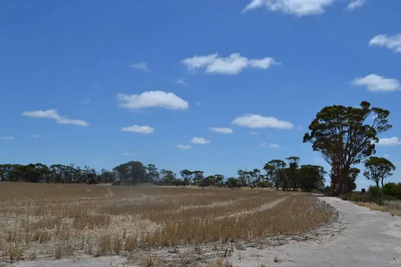 Main view of Homely land listing, Lot 395 Cooalling Road, Cunderdin WA 6407