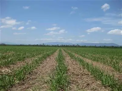 Third view of Homely rural property listing, Address available on request