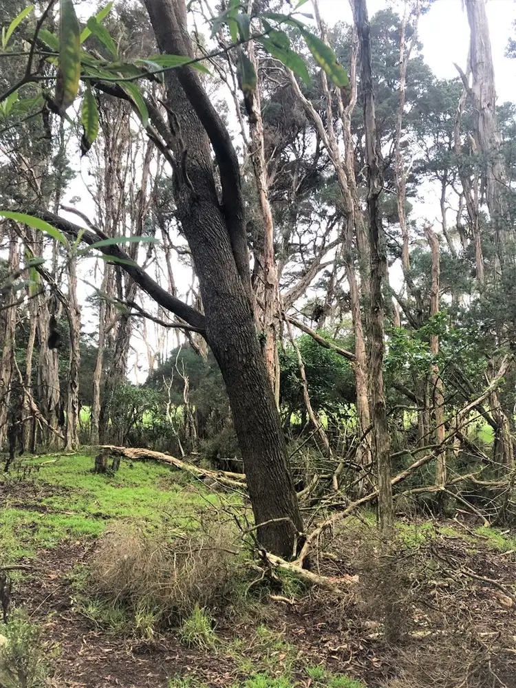 Fourth view of Homely land listing, 153 The Esplanade, Naracoopa TAS 7256