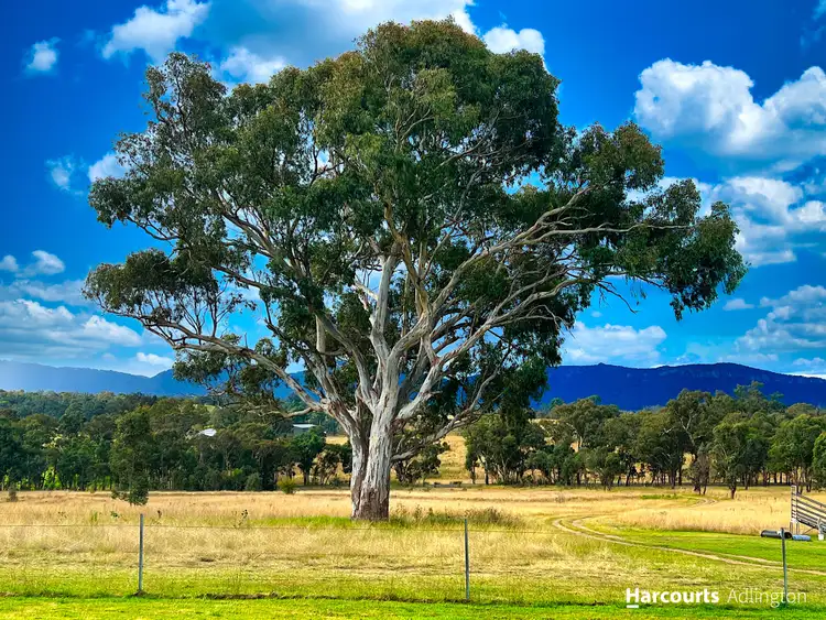 Seventh view of Homely rural property listing, 2260 Glen Alice Road, Rylstone NSW 2849