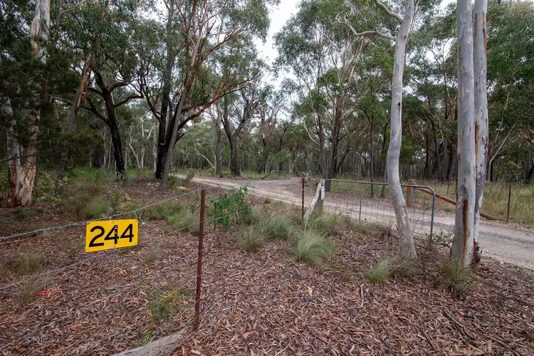 Fourth view of Homely rural property listing, 244 Tiyces Lane, Goulburn NSW 2580