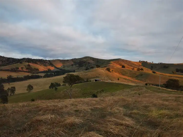Fifth view of Homely rural property listing, 65 Dove Lane, Koriella VIC 3714