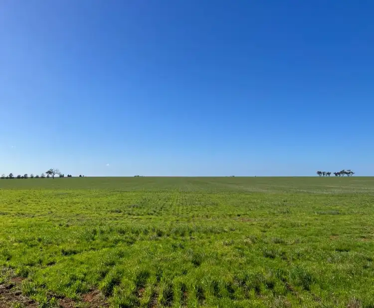 Fifth view of Homely rural property listing, . Power Road, Lalbert VIC 3542