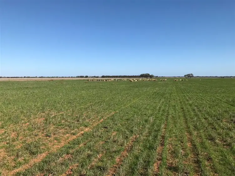 Seventh view of Homely rural property listing, . Power Road, Lalbert VIC 3542