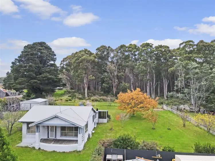 Third view of Homely house listing, 56 Gray Road, St Marys TAS 7215