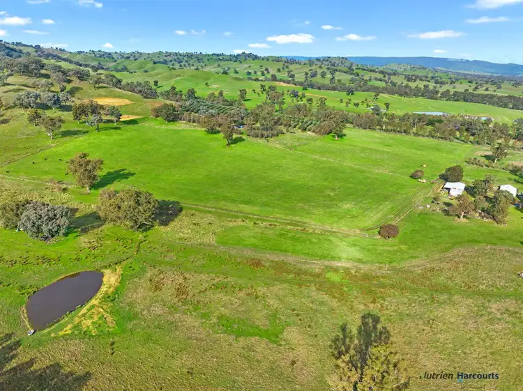 Main view of Homely rural property listing, 7050 Maroondah Highway, Yarck VIC 3719
