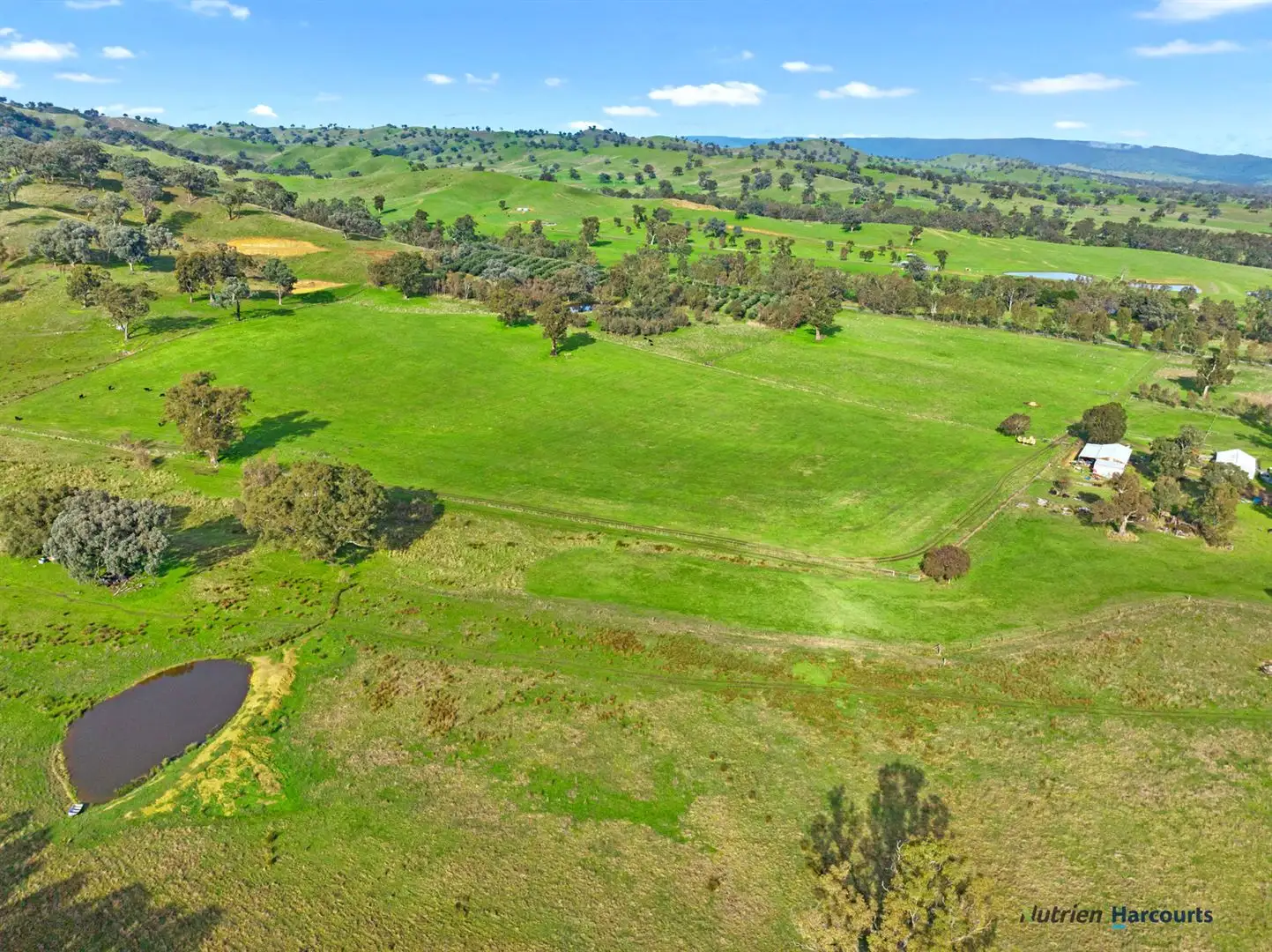 Main view of Homely rural property listing, 7050 Maroondah Highway, Yarck VIC 3719