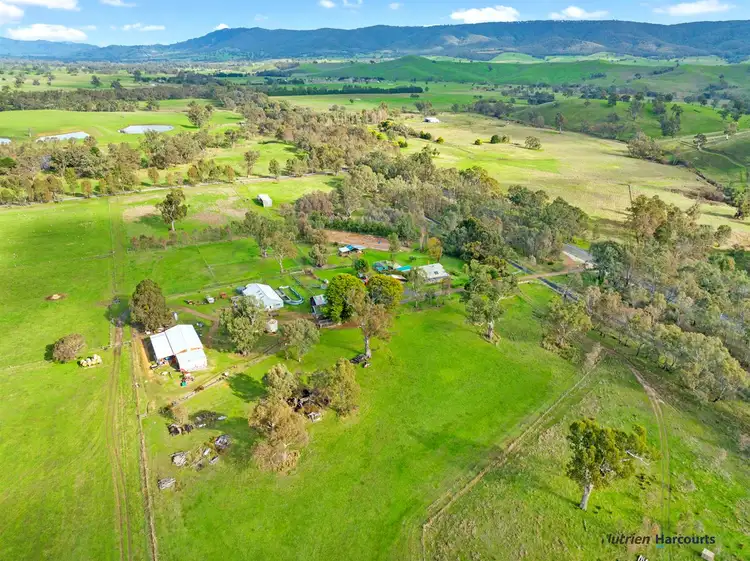 Second view of Homely rural property listing, 7050 Maroondah Highway, Yarck VIC 3719