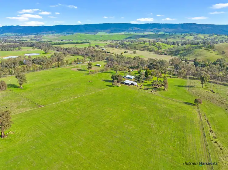 Third view of Homely rural property listing, 7050 Maroondah Highway, Yarck VIC 3719