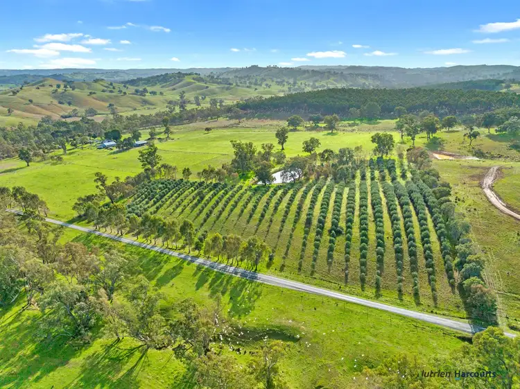 Sixth view of Homely rural property listing, 7050 Maroondah Highway, Yarck VIC 3719