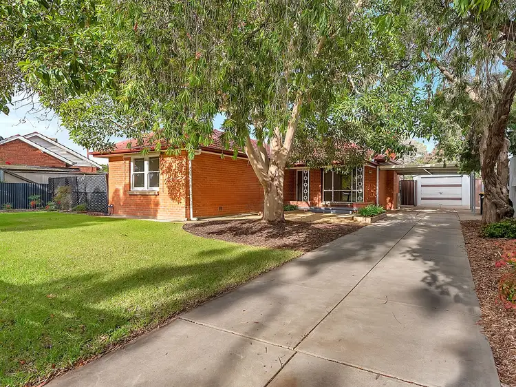 6 Figsbury Street, Elizabeth North SA 5113