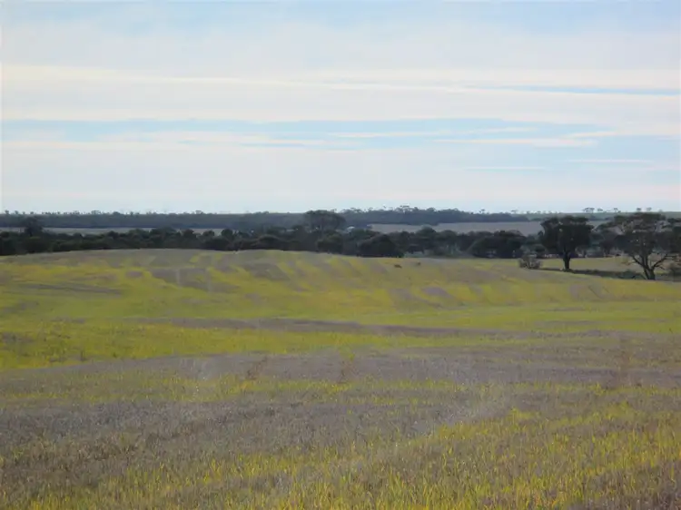 Sixth view of Homely rural property listing, . Duncans, Newdegate WA 6355