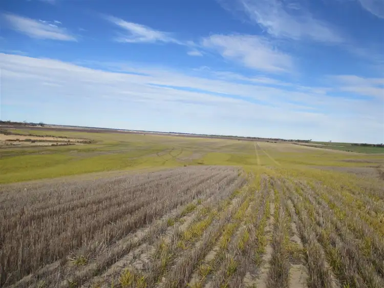 Seventh view of Homely rural property listing, . Duncans, Newdegate WA 6355